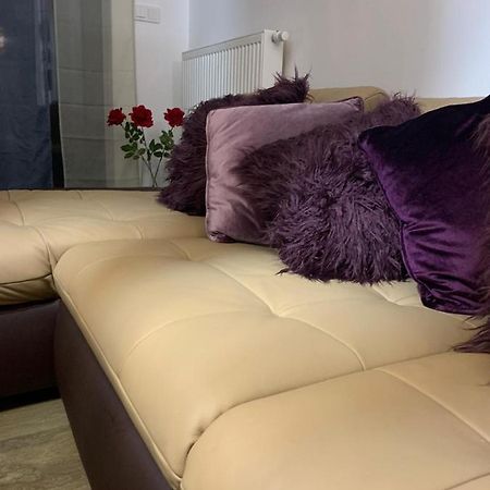 Appartamento Ive'S Golden Gardenia Seaside Dziwnów Esterno foto
